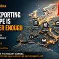 When Chinese Companies Buy Local Services in Europe: Six Purchasing Moments and Who Controls the Budget.